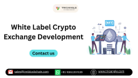 What is White Label Crypto Exchange Development and how can it help launch a crypto trading platform quickly?