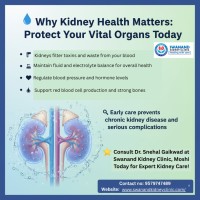 Why Kidney Health Matters: Protect Your Vital Organs Today