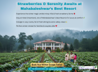 Strawberries & Serenity: Mahabaleshwar Best Resorts to Enjoy Winter Magic