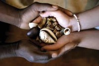 African Traditional Specialist Healer With Natural Herbal Remedies Call / WhatsApp: +27722171549