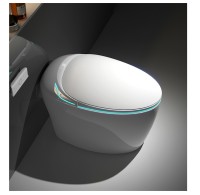 Shop One Piece Toilet for Sleek & Modern Bathroom | Ortonbaths