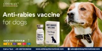 Buy Anti Rabies Vaccine for Dogs Wholesale B2B - Oddway
