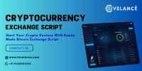 Best Crypto Exchange Script - Start Your Crypto Exchange Business Within 7 days