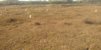 DTCP APPROVED PLOTS FOR SALE AT SRIPERUMBUDUR IN THATHANUR