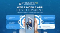 App Developer Pro – Your Trusted Web/Mobile Apps&Software Development Partner