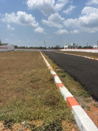 Dtcpapproved plots for sale at Aranvoyal