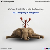 Best SEO Company in Bangalore for Google First Page Ranking | Seobangalore.in